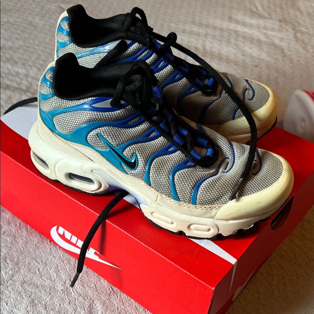 Nike Air Max Sneakers in Blue and White